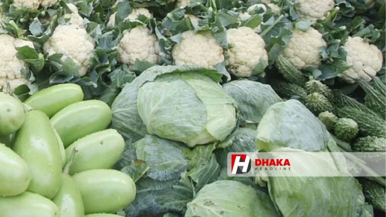 শীতের আগাম সবজিতে স্বস্তি ফুলকপি ও বাঁধাকপির দাম কমতে শুরু করেছে